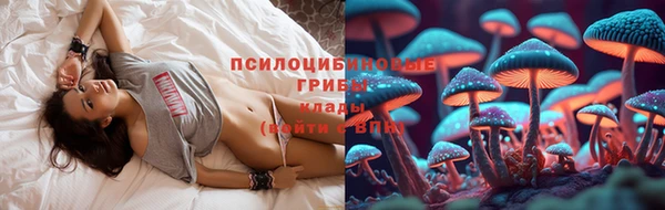 mdpv Белокуриха