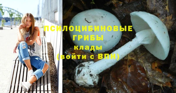 MDMA Беломорск