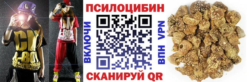 как найти наркотики  Павловская  Галлюциногенные грибы Psilocybine cubensis 